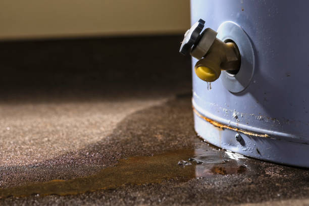 Best Basement water damage restoration  in Fairfax, IA