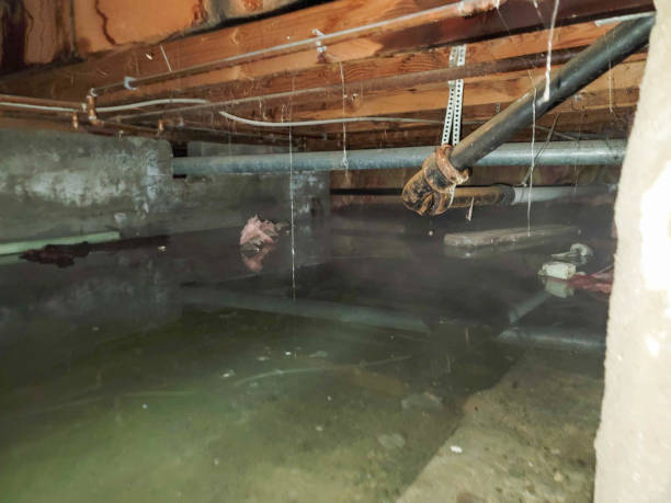 Best Residential water damage restoration  in Fairfax, IA