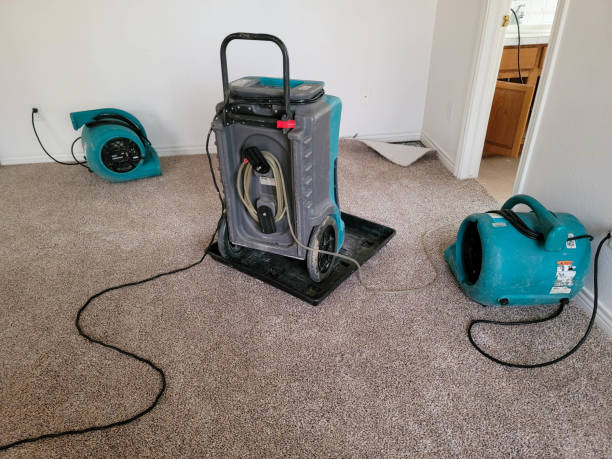 Best Sewage cleanup and water damage restoration  in Fairfax, IA