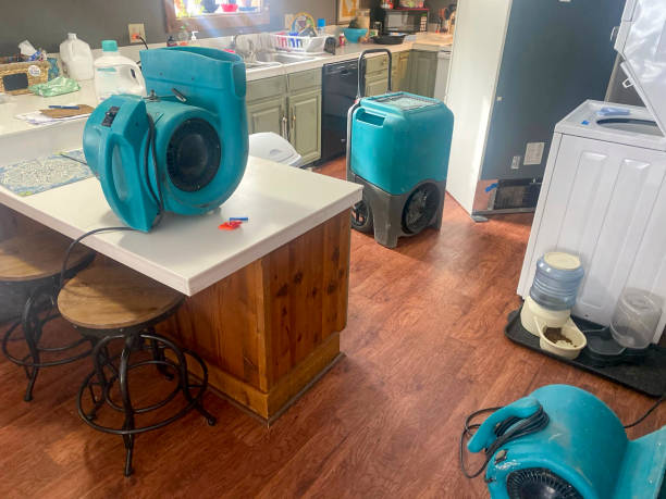  Fairfax, IA Water damage restoration Pros