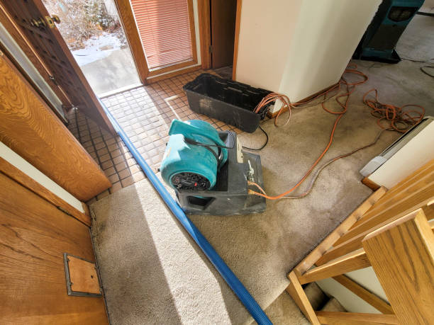 Best Residential water damage restoration  in Fairfax, IA