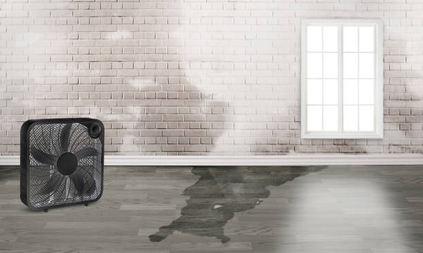 Fire Damage Restoration in IA