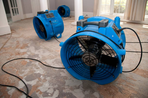 Best Professional water damage repair  in Fairfax, IA