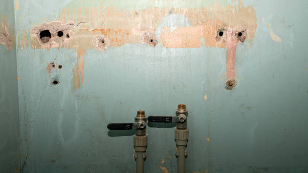 Best Ceiling water damage repair  in Fairfax, IA