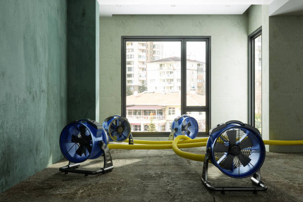 Best Water damage mitigation services  in Fairfax, IA