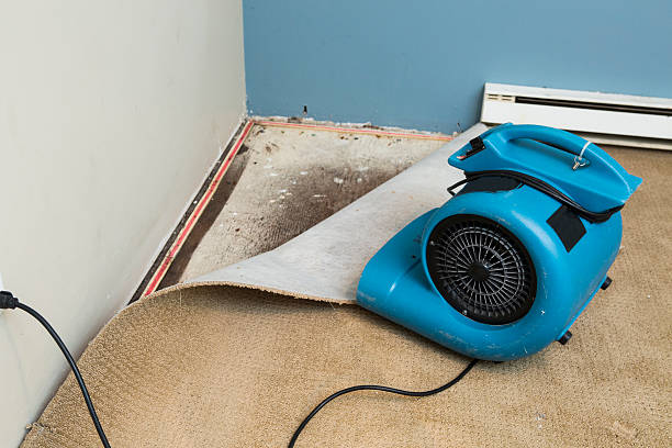 Best Carpet water damage restoration  in Fairfax, IA